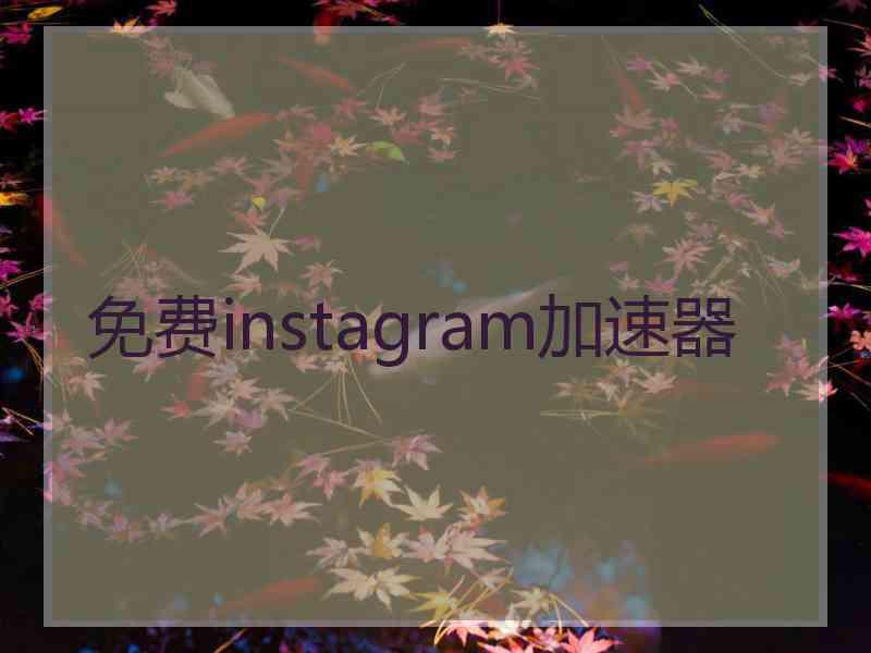免费instagram加速器
