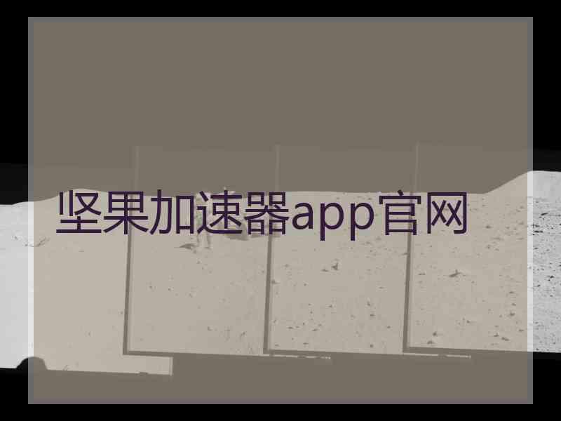 坚果加速器app官网