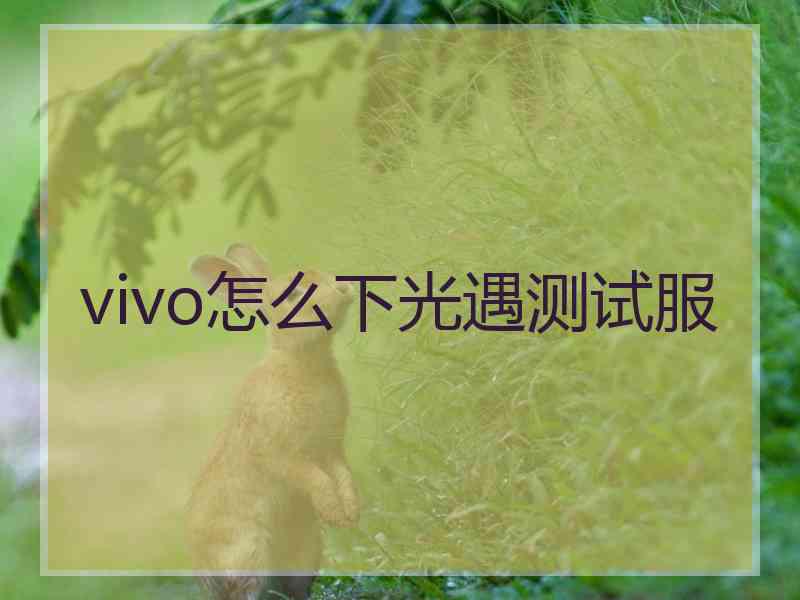 vivo怎么下光遇测试服