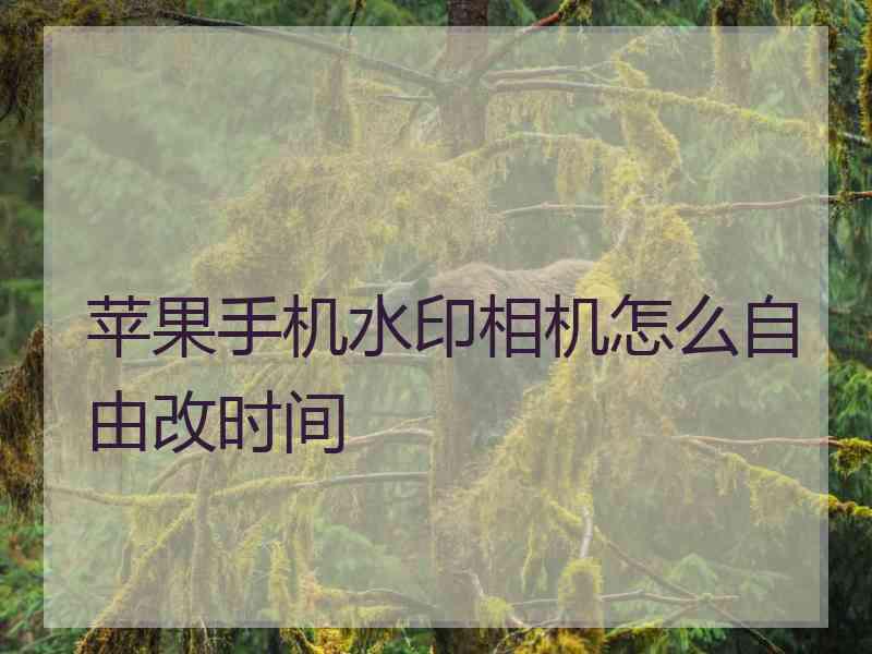 苹果手机水印相机怎么自由改时间