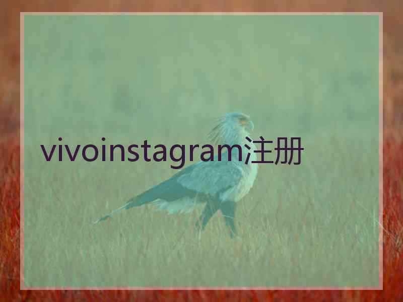 vivoinstagram注册