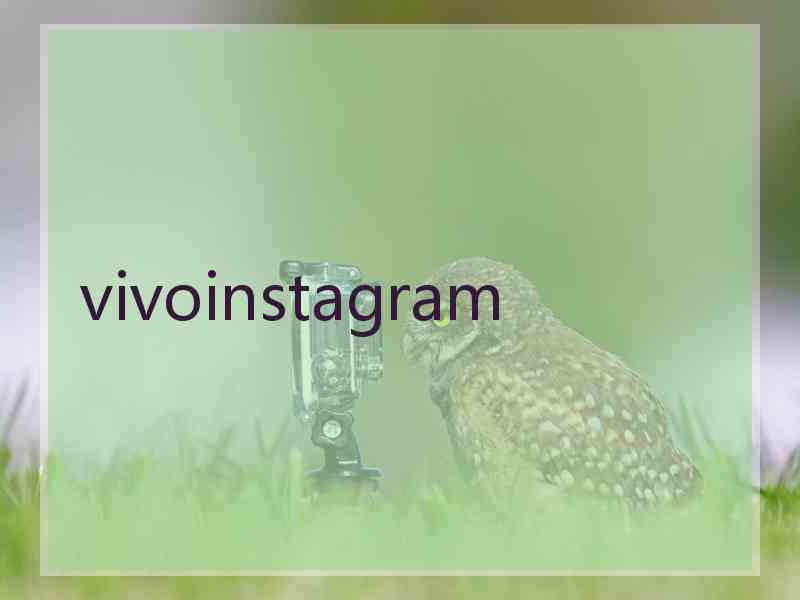 vivoinstagram